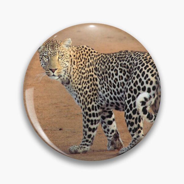 Item preview, Beautiful Leopard designed and sold by TheAnimalZ00.