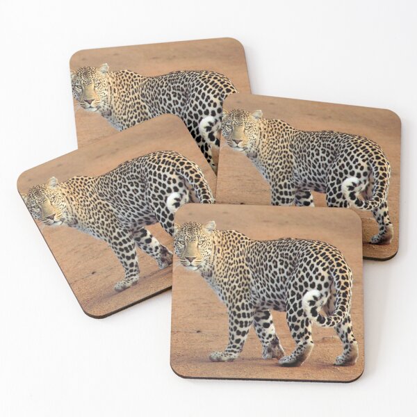 Item preview, Beautiful Leopard designed and sold by TheAnimalZ00.