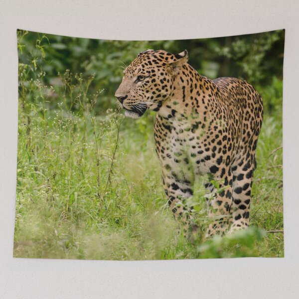 Item preview, Beautiful Leopard In The Wild designed and sold by TheAnimalZ00.