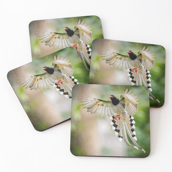 Item preview, Photo: Red-billed Blue Magpie - Striking Avian Photography Art Print designed and sold by Blendfactor.