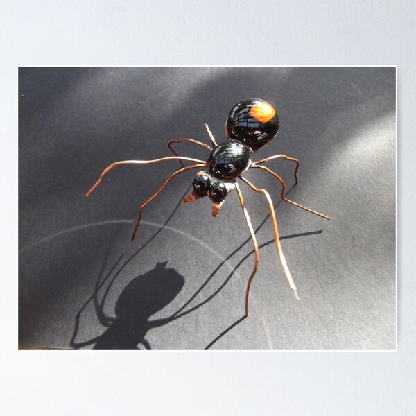 Red Back Spider Poster