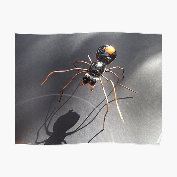 Red Back Spider Poster