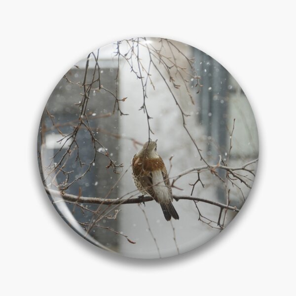Item preview, song thrush sitting on a tree branch winter  designed and sold by mrivserg.