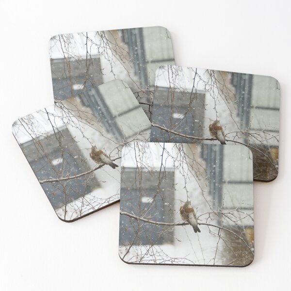 Item preview, song thrush sitting on a tree branch winter  designed and sold by mrivserg.