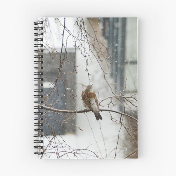 Item preview, song thrush sitting on a tree branch winter  designed and sold by mrivserg.