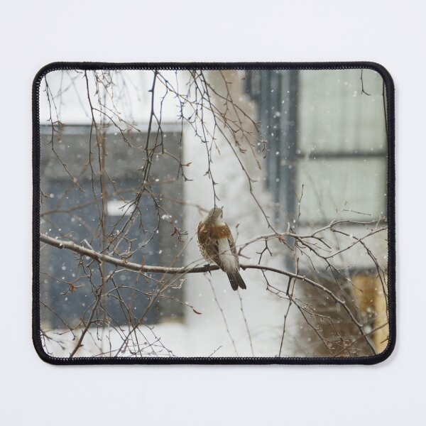 Item preview, song thrush sitting on a tree branch winter designed and sold by mrivserg.