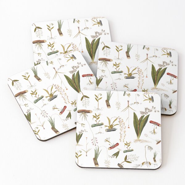 Item preview, Éclat Botanique collection Orchid Symphony designed and sold by Coastal Garden Design Studio.