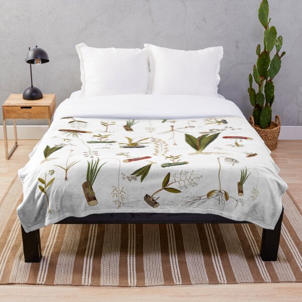 Item preview, Éclat Botanique collection Orchid Symphony designed and sold by Coastal Garden Design Studio.