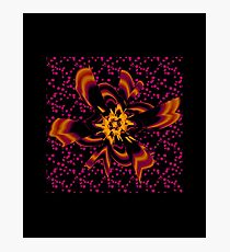 Flower Flower Photographic Print