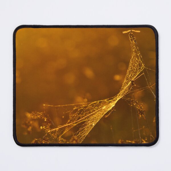 Item preview, Silhouette of a dragonfly on a spider net designed and sold by Insnaptive.