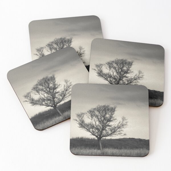 Item preview, Mull Tree designed and sold by David Bowman.