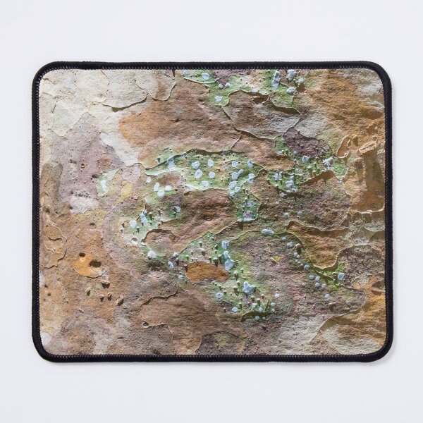 Item preview, Close up Tree 3, Mission Beach, Australia designed and sold by Kate Powick.