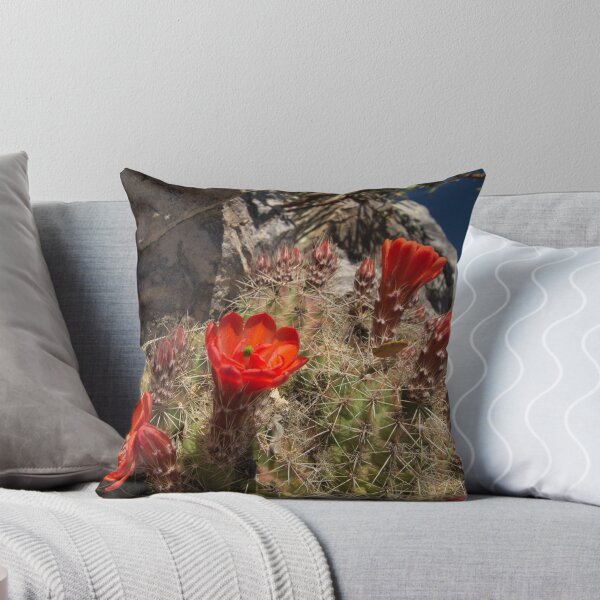 Item preview, 225 Cactus Claret Cup Flower designed and sold by ptosis.