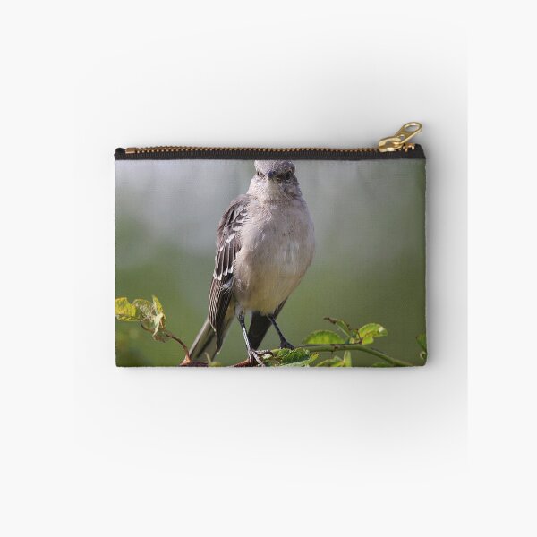 Item preview, Young Mockingbird designed and sold by Linda Crockett.