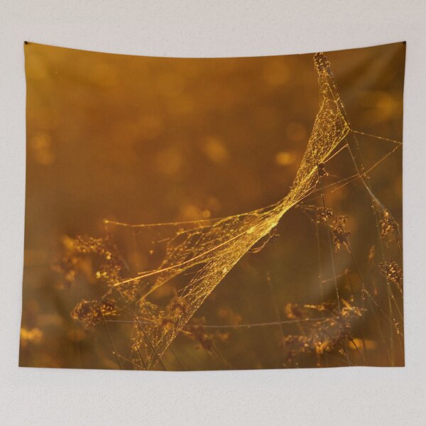 Item preview, Silhouette of a dragonfly on a spider net designed and sold by Insnaptive.