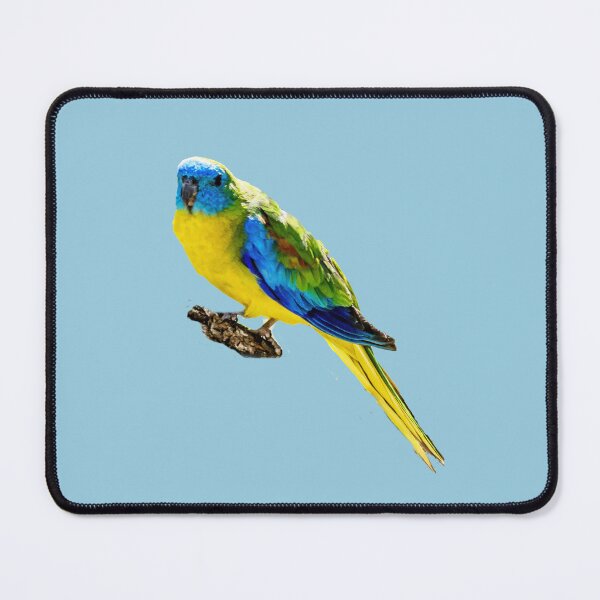 Item preview, Australian birds - turquoise parrot designed and sold by Ozjanette90.