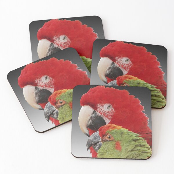 Item preview, Parrot Pals Photograph designed and sold by PilgrimCraft.