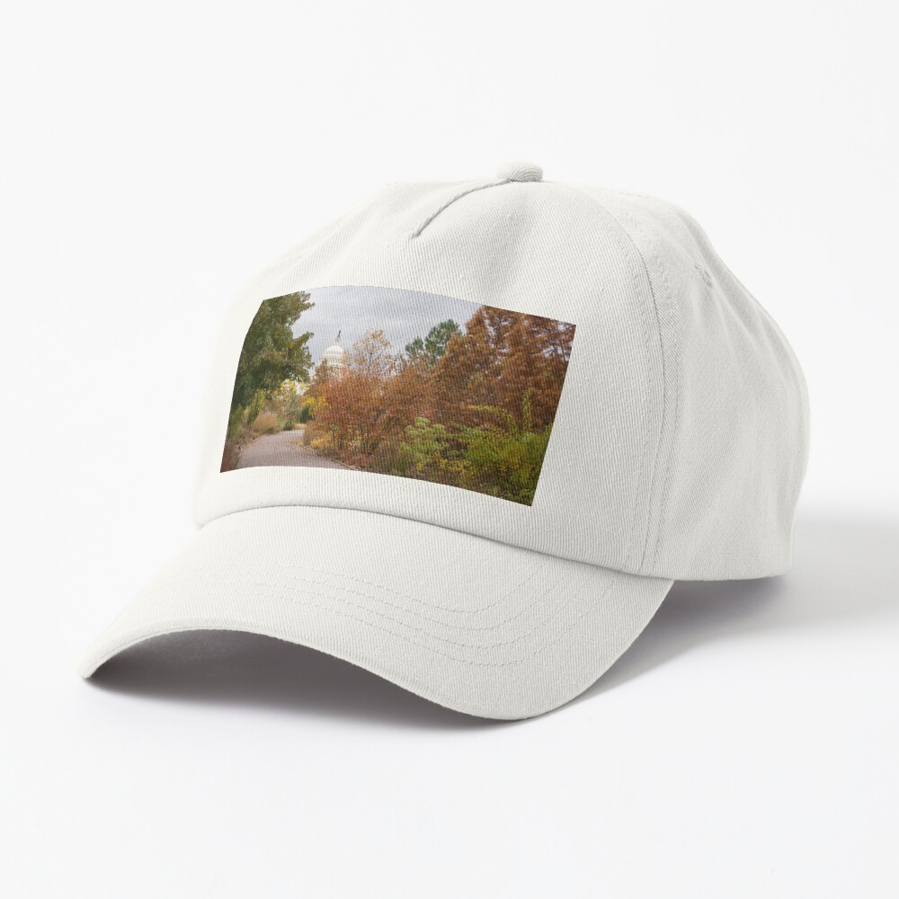 Iconic United States Capitol from the Botanic Garden in Washington DC Sticker