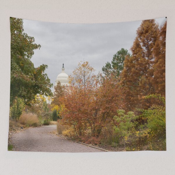 Item preview, Iconic United States Capitol from the Botanic Garden in Washington DC designed and sold by Georgia Mizuleva.