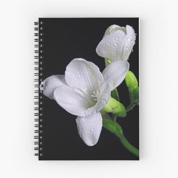 Item preview, White Freesias designed and sold by Krys Bailey.