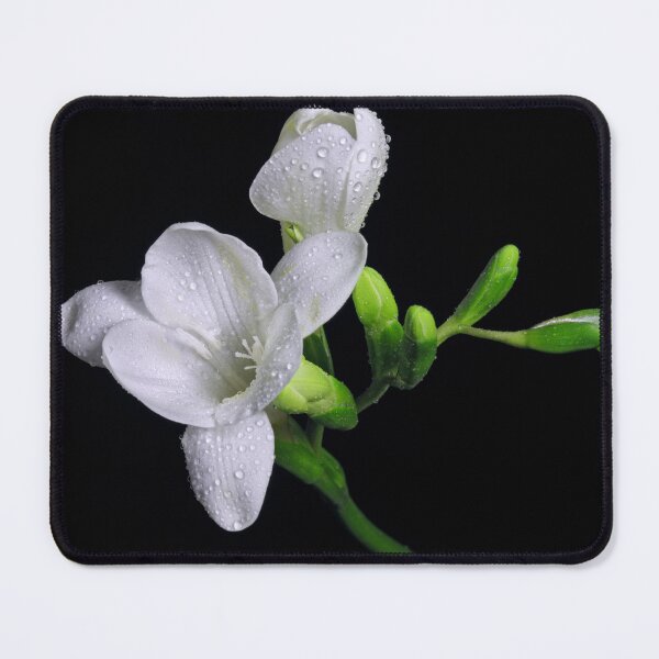 Item preview, White Freesias designed and sold by Krys Bailey.