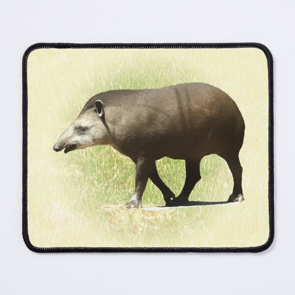Item preview, Tapir designed and sold by Guardi71.