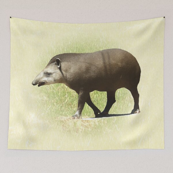 Item preview, Tapir designed and sold by Guardi71.