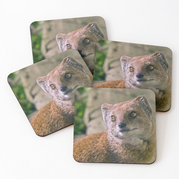 Item preview, Yellow Mongoose designed and sold by Krys Bailey.