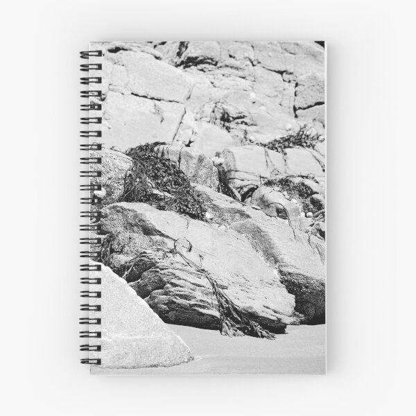 Item preview, Seaweed Limpets Sandy Beach Rathmullan bw designed and sold by eddiebarronshop.