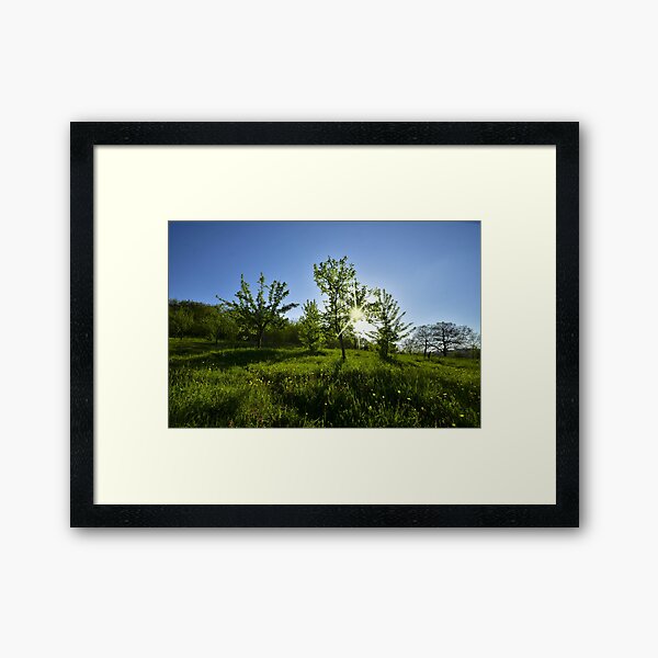 Rainca Framed Art Print