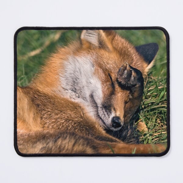 Item preview, Bashful designed and sold by Krys Bailey.
