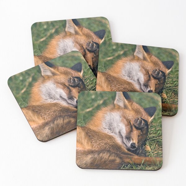 Item preview, Bashful designed and sold by Krys Bailey.