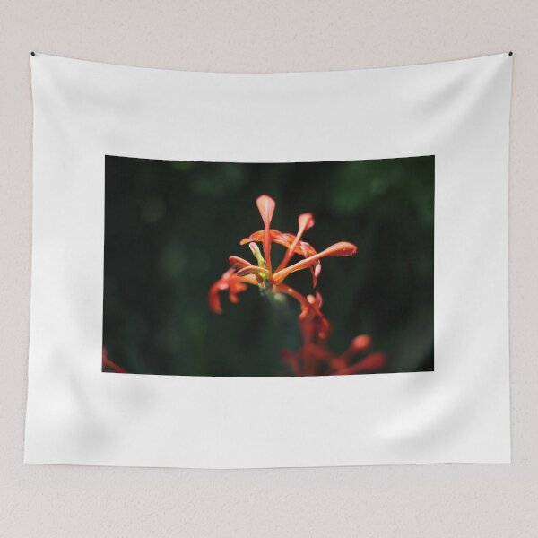 Item preview, Blooming Flame lily designed and sold by Jean-Marie Heyman.