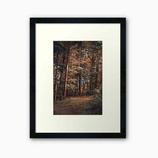 Golden hour Framed Art Print
