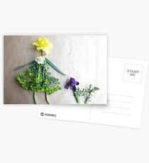 Daffodil with her scottie dog, Iris Postcards