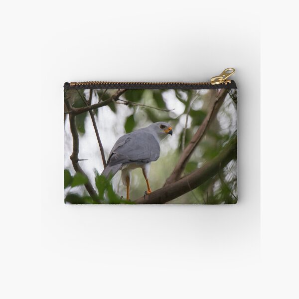Item preview, My Goshawk Returns designed and sold by byronbackyard.