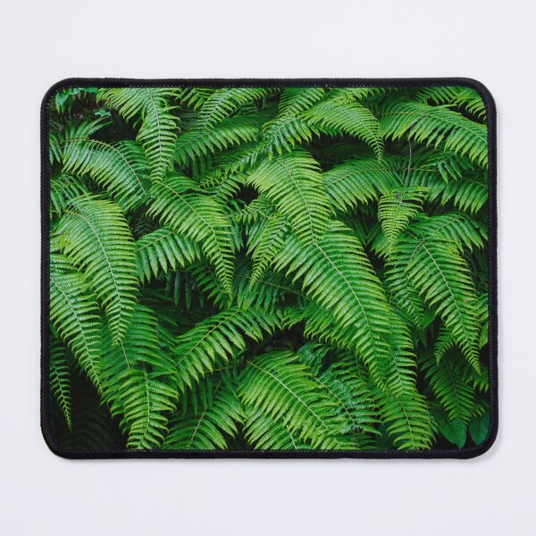 Item preview, Ferns during Rainy Season in Japan designed and sold by Pix4Japan.