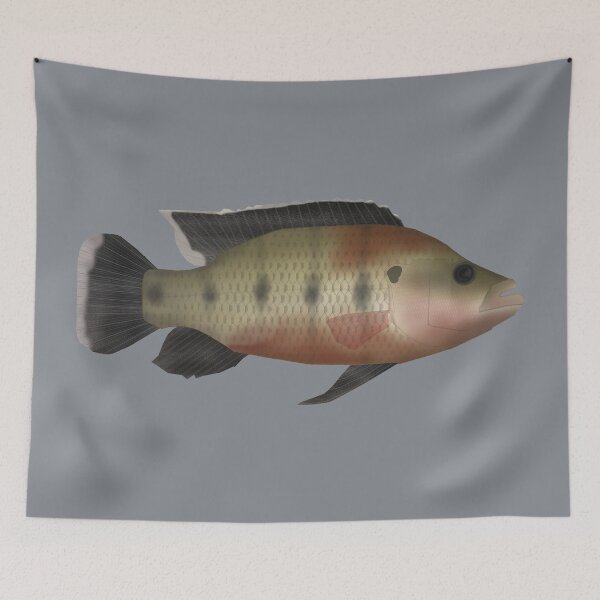 Item preview, Banded Jewelfish designed and sold by fishfolkart.