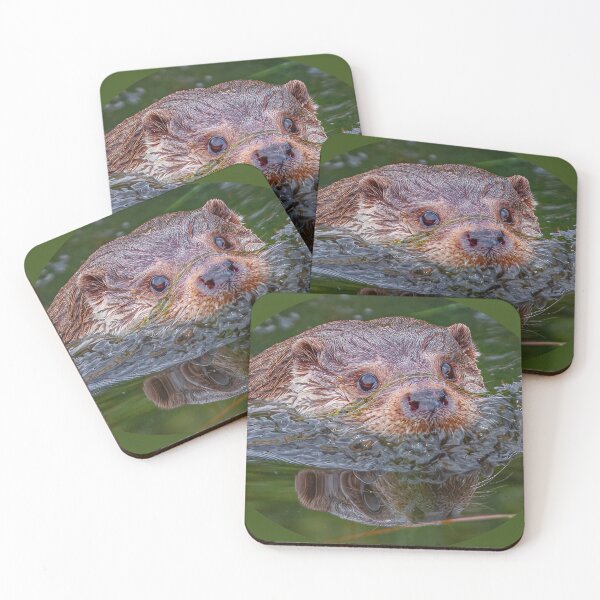 Item preview, Otter reflections designed and sold by Dalyndigital Photography.