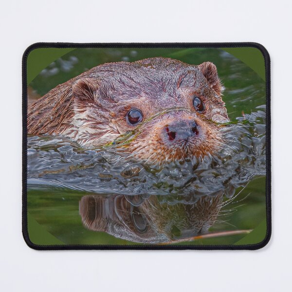 Item preview, Otter reflections designed and sold by Dalyndigital Photography.