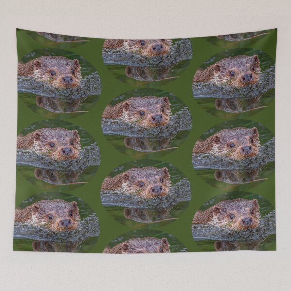 Item preview, Otter reflections designed and sold by Dalyndigital Photography.