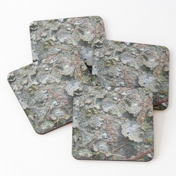 Item preview, Woodland floor-Available As Art Prints-Mugs,Cases,Duvets,T Shirts,Stickers,etc designed and sold by born30.