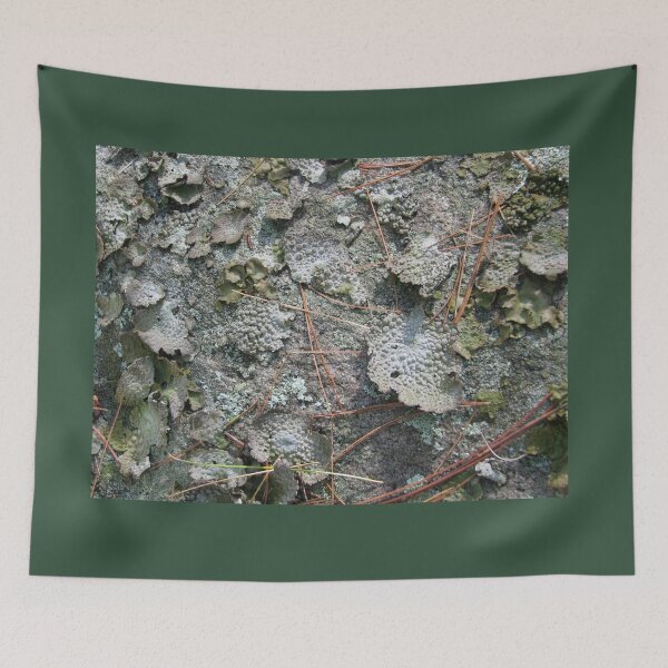 Item preview, Woodland floor-Available As Art Prints-Mugs,Cases,Duvets,T Shirts,Stickers,etc designed and sold by born30.