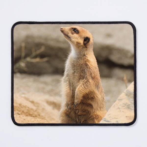 Item preview, Meerkat Erdmännchen designed and sold by AK-Hevonen.