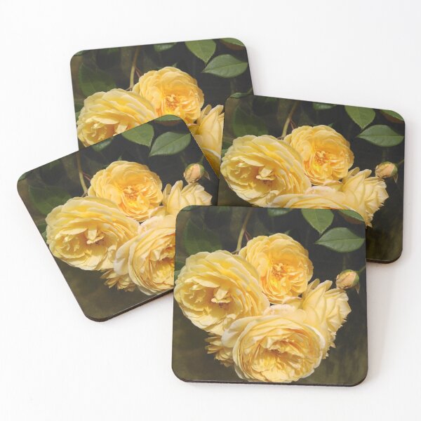 Item preview, Teasing Georgia Roses designed and sold by JacquiRose23.