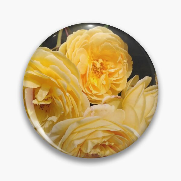 Item preview, Teasing Georgia Roses designed and sold by JacquiRose23.