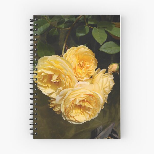 Item preview, Teasing Georgia Roses designed and sold by JacquiRose23.