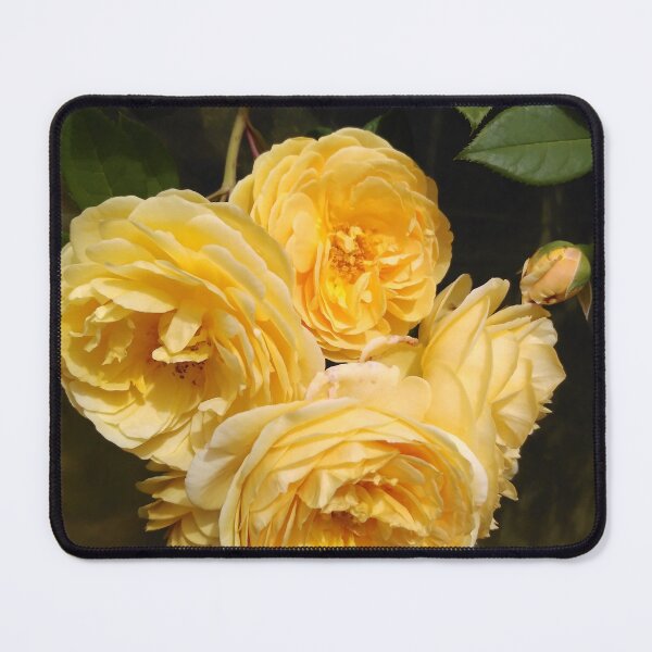 Item preview, Teasing Georgia Roses designed and sold by JacquiRose23.