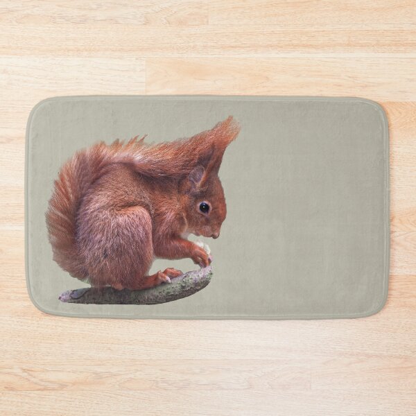 Item preview, Red squirrel eating nuts designed and sold by Dalyndigital Photography.
