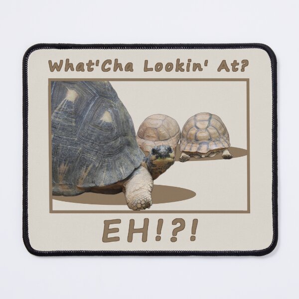 Item preview, Turtle Turn designed and sold by AK-Hevonen.